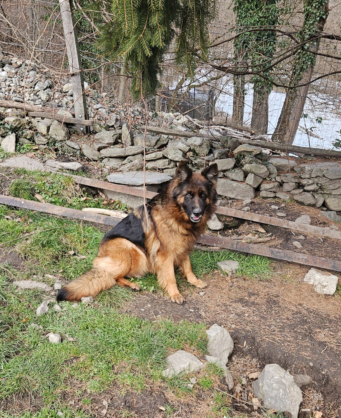Romy du chalet des crocs blancs