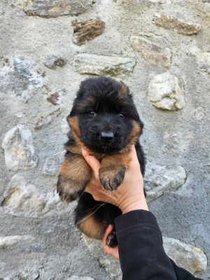 ficelle BLEUE et BLANCHE